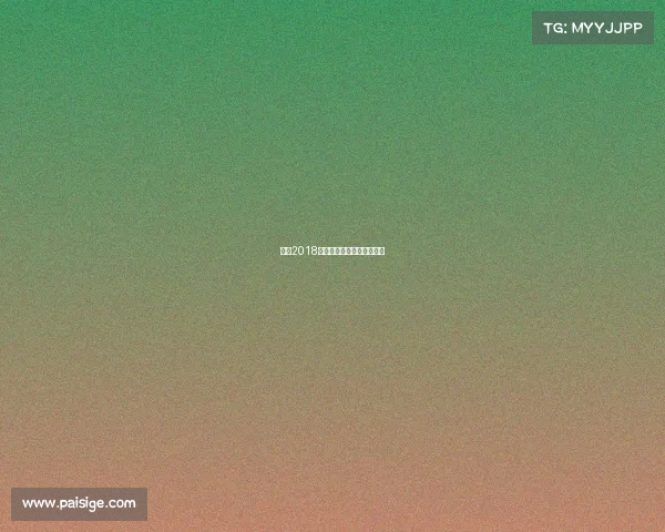 热火2018赛季激情征程辉煌战绩回顾