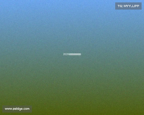 2020年成都游泳比赛成绩册