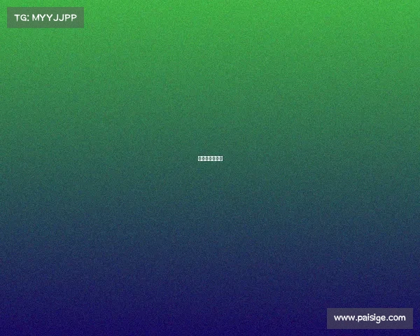 拉斯维加斯秀场